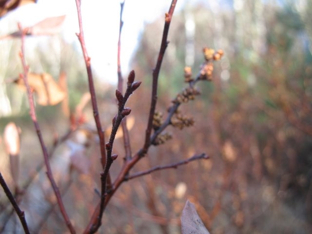 2007 02 Sortie traces 08